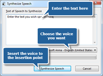 Insert the Converted Speech Insert the Converted Speech
